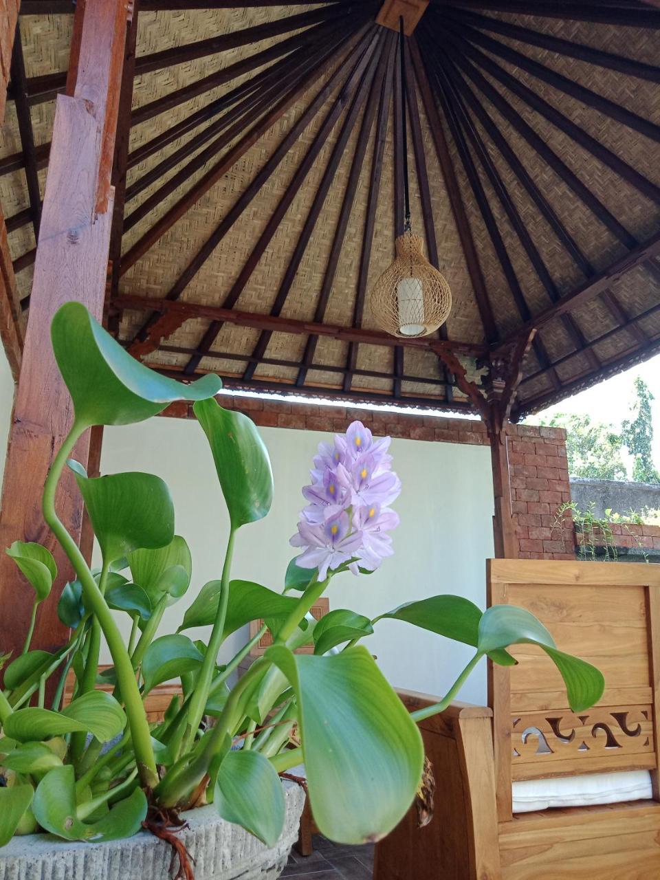 נוסא דואה D'Puja Home Stay And Spa מראה חיצוני תמונה